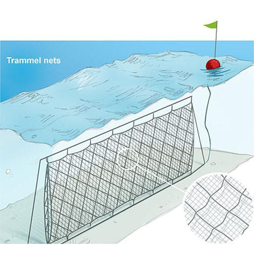 Ready Rigged Trammel Nets 0.40 x 4-3/4 x 24 Walls 4ft Deep – Coastal Nets  Online Store